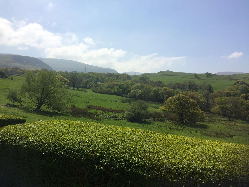 Rhiwiau Guesthouse Llanfairfechan Zewnętrze zdjęcie